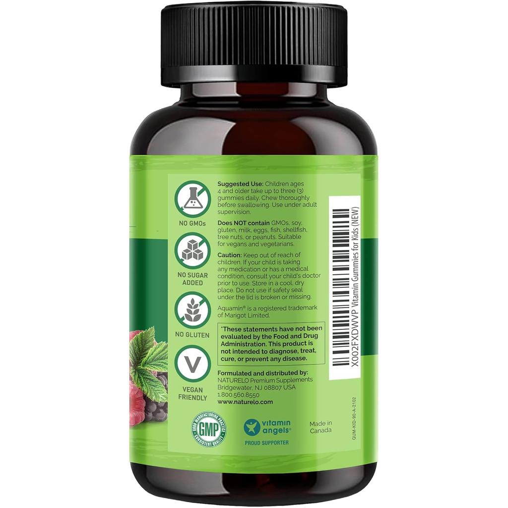 Naturelo Plant-Based Whole Food Vitamin Gummies for Kids with Organic Fruits, Chewable & Sweetened Naturally - Non-GMO & Vega